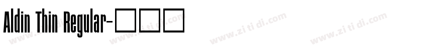Aldin Thin Regular字体转换